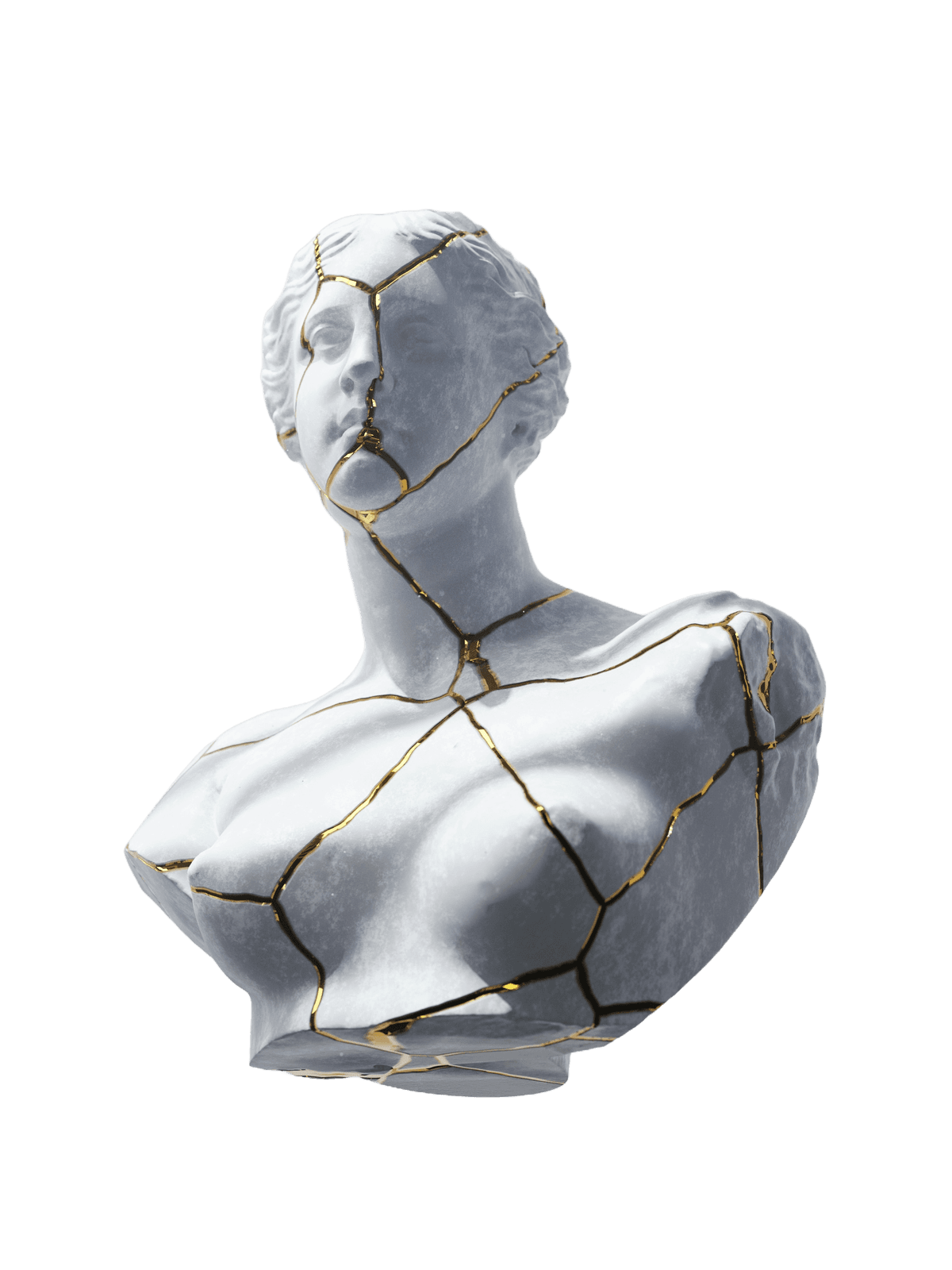 NerionSoft - Notre vision